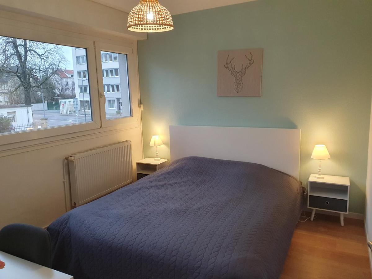 Appartement La Roseraie Proche Centre/Gare เมซ์ ภายนอก รูปภาพ